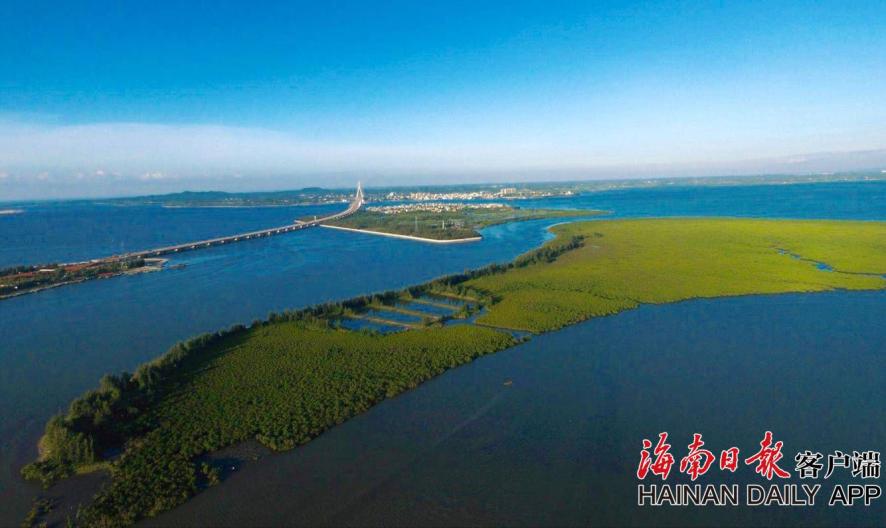 迪士尼梦幻星谷苹果派怎么做